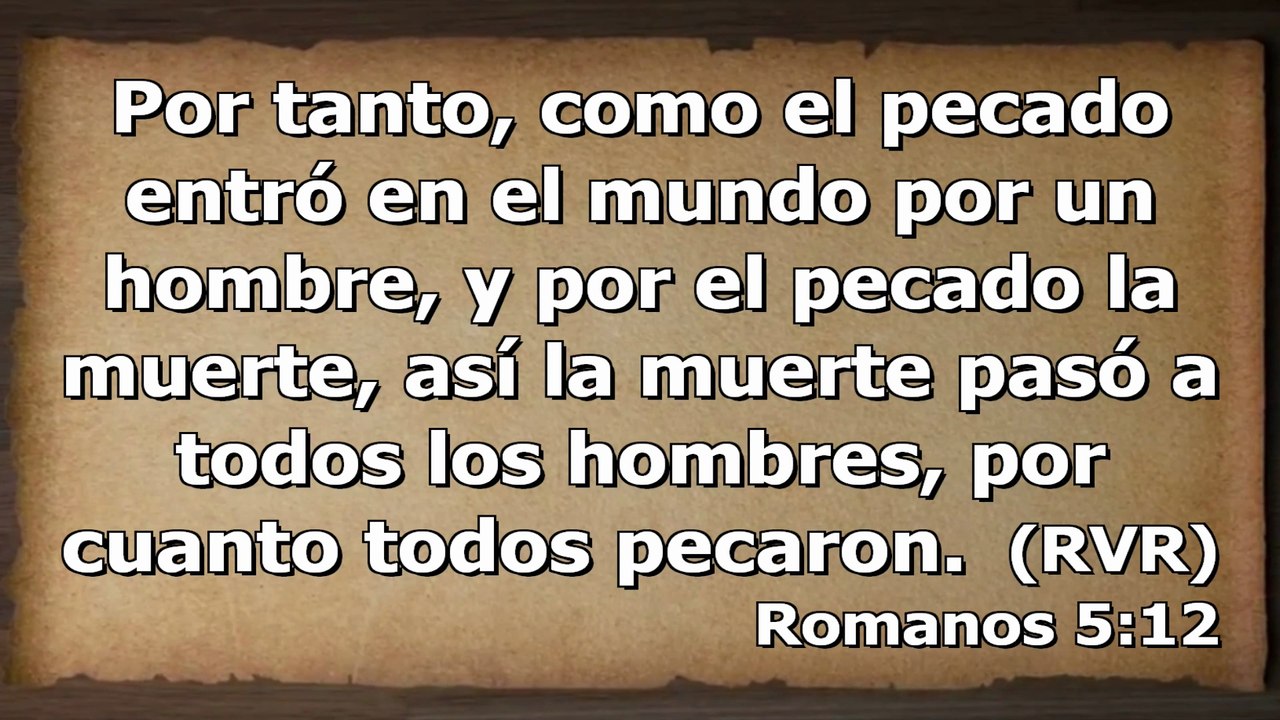 La naturaleza humana de Cristo, la del hombre común y el sellamiento / Vlog Saetero contesta