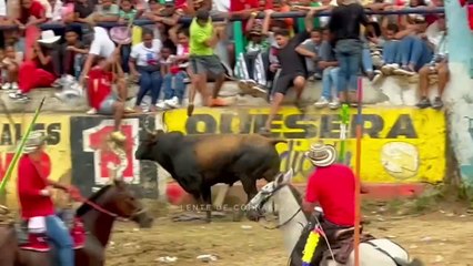 Corralejas El Difícil 2025 | Toros de Hnos. Muñoz C.