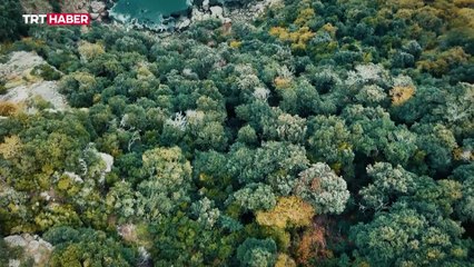 'Tayfun' hedefi tam isabetle vurdu