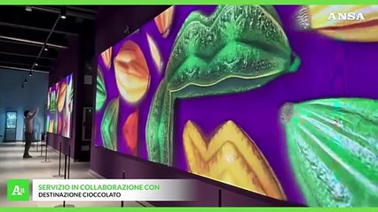 A Perugia nasce la Citta' del cioccolato