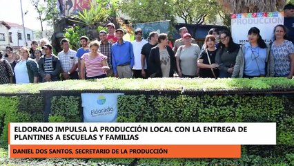 Eldorado entrega plantines a escuelas y familias
