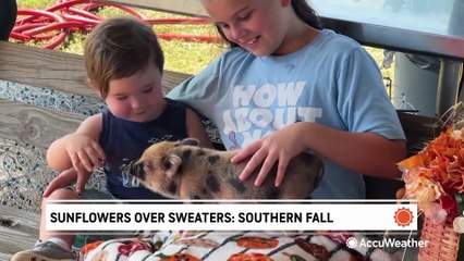 Sunflowers over sweaters: How the South does fall