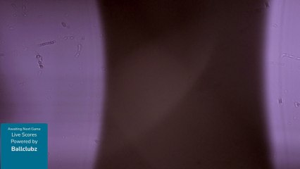 Yankee - Senior World Series (2025) Fri, Oct 24, 2025 11:53 AM to 11:54 AM