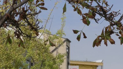 [날씨] 주말까지 완연한 가을...다음 주 '강추위' 온다 / YTN