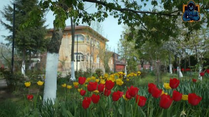 Iubire cu parfum de lavanda Sezon 3 Episodul 7 din 24 Octombrie 2025 Online Gratis pe Internet, Antena Play Gratis