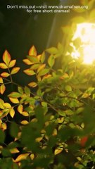 Quit as a Housewife Meet a Glorious Life Chinese Drama - English Sub