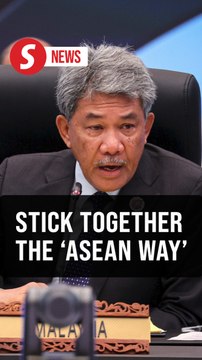Region to continue to move forward the 'Asean Way,' says Mohamad