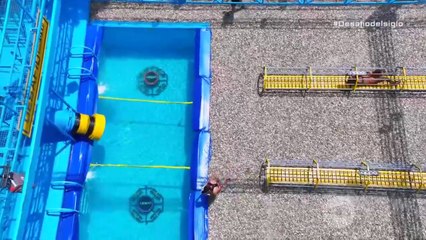 Desafío 2025 Capitulo 82