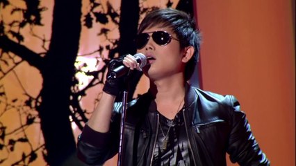 Vết thù trên lưng ngựa hoang - Lưu Đức Long