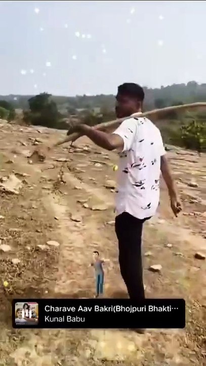 FB_VID_3528069763285524835