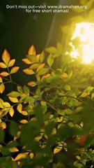 Quit As A Housewife Meet A Glorious Life