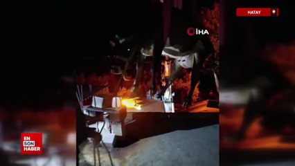 Hatay'da evin damında mahsur kalan inek vinçle kurtarıldı