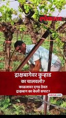 अवकाळीनं हतबल..नाशिकच्या शेतकऱ्यानं कर्जापोटी घेतला कठोर निर्णय