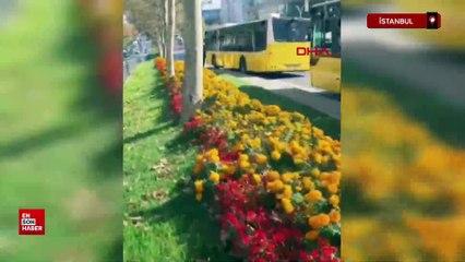 İstanbul karşıdan karşıya geçerken cipin çarptığı yaya öldü