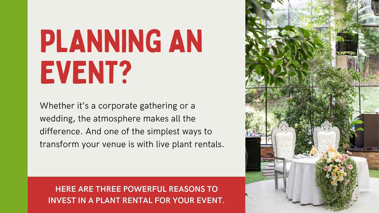 Best Reasons to Choose a Plant Rental for Your Event in Pensacola