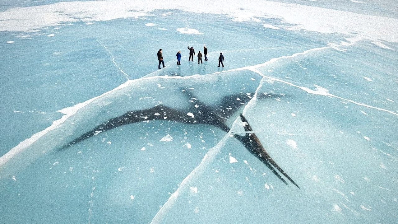 Une créature géante retrouvée gelée – et d’autres découvertes préhistoriques incroyables