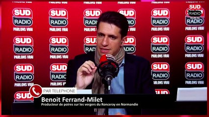 De plus en plus de fruits vendus comme "français" envahissent les étals des grandes surfaces.