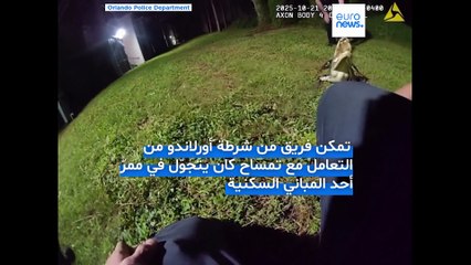 شرطة أورلاندو تضبط تمساحًا بطول 6 أقدام كان يتجوّل في ممر سكني