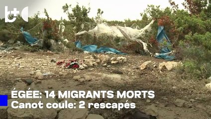 Nouvelle tragédie en mer Égée : naufrage d'un canot, au moins 14 migrants périssent.