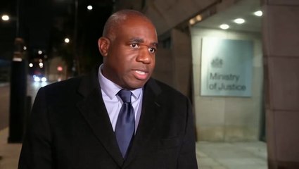 Epping hotel migrant accidentally freed from prison  is ‘at large in London’, warns Lammy