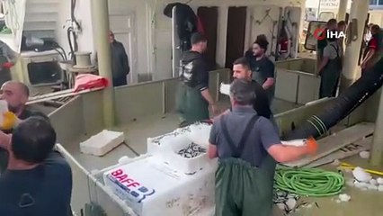 Akçakoca’da hamsi sezonu bereketli geçti: 721 ton limandan çıktı