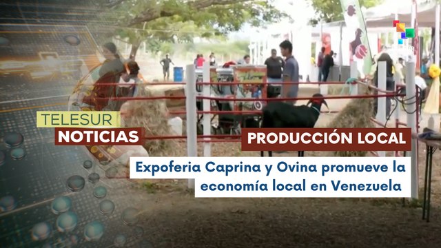 Gobierno de Venezuela impulsa el desarrollo local con la Expoferia Caprina y Ovina 2025 en Miranda