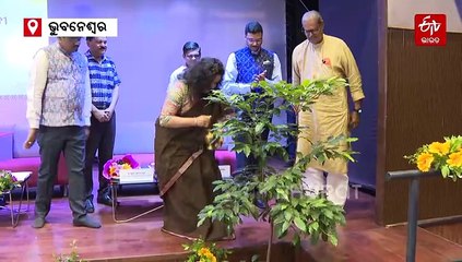 ଡାଲି, ତୈଳବୀଜ ଏବଂ ଉଦ୍ୟାନ କୃଷି ଫସଲକୁ ମିଳିବ ପ୍ରୋତ୍ସାହନ