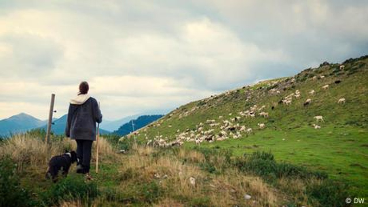 Schafe statt Stress – die Vorteile des Lebens als Schäferin
