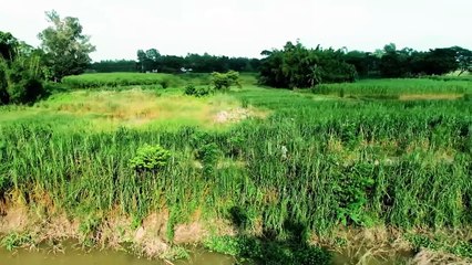 Paap Kahini (2025) | পাপ কাহিনী (২০২৫)