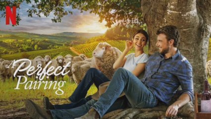A Perfect Pairing (2022) | Netflix Romantic Comedy | Love, Wine & New Beginnings 🍷💖