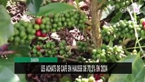 [#Reportage] Gabon : Les achats de café en hausse de 70,5% en 2024