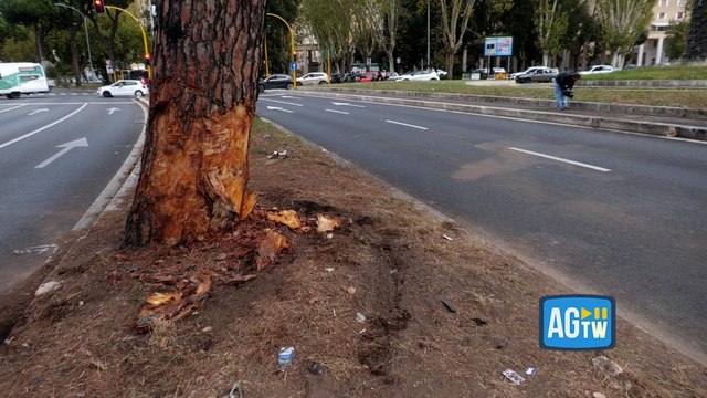Roma, via Cristoforo Colombo: le immagini del luogo dell'incidente in cui è morta Beatrice Bellucci