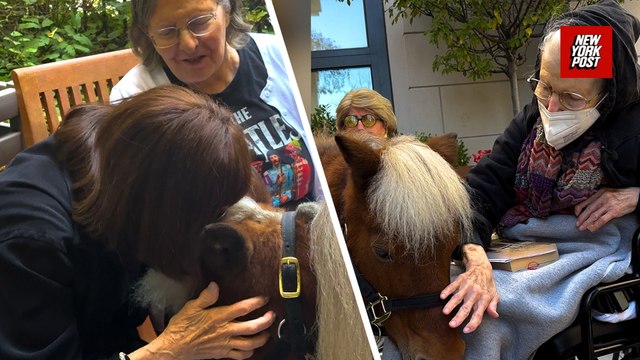 Mini therapy horses lift spirits at an Upper East Side assisted living facility