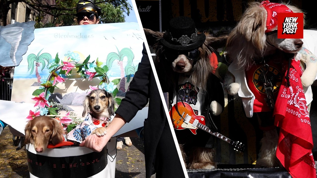 Pooches line up for NYC's 35th annual Halloween Dog Parade