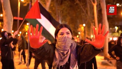 Barcelona in chaos: Pro-Palestine protesters torch streets and clash with police