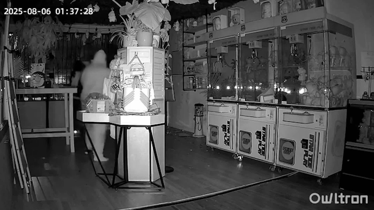 Thieves steal thousands of dollars' worth of Labubu dolls from California shop