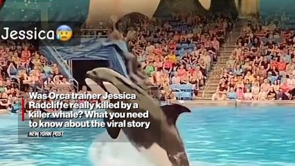 Was Orca trainer Jessica Radcliffe really killed by a killer whale? The truth about the viral story