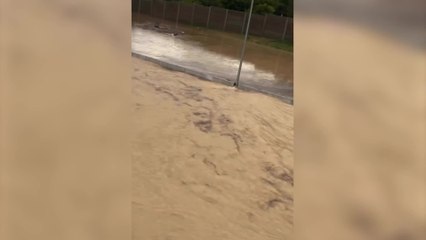 Chattanooga flooding: Wild scenes after historic rains hit Tennessee