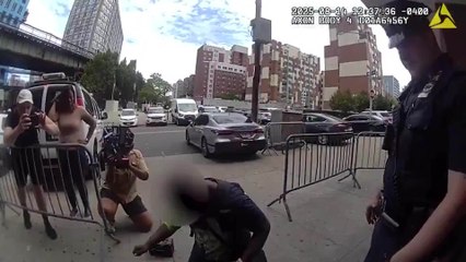 NYPD reunite stolen dog with owner after being taken on the subway