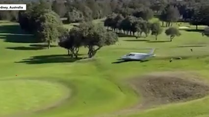 Shocking moment plane makes emergency crash landing on golf course