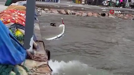 Edremit’te Lodos Felaketi!