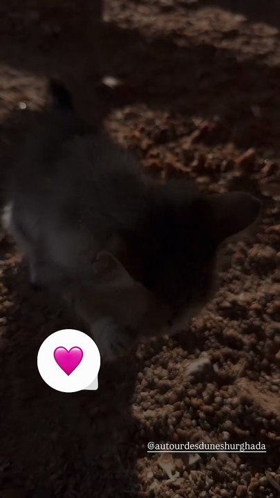 Elodie Gossuin @Instagram