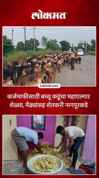 बच्चू कडूंचं महाएल्गार ट्रॅक्टर आंदोलन, हजारो ट्रॅक्टर घेऊन नागपूरकडे कुच करणार
