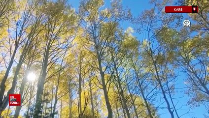 Keklik Vadisi'nde sonbahar güzelliği yaşanıyor