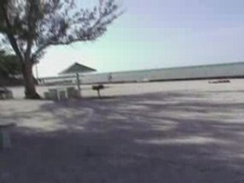 Miami NY 011