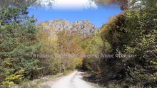 Απόδραση στο Δάσος Φρακτού, Οκτώβριος 2022