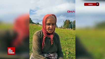 Ordu'da eşini kaybettikten sonra oğluyla birlikte çobanlık yapıyor