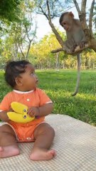 Baby Copies Monkey Faces | Funniest Duo Ever! 🐒😂”#BabyAndMonkey #FunnyMoments #CuteBaby #AdorableDuo #MonkeyLove #ViralShorts #Wholesome #Heartwarming #PureJoy #BabyLaughs #TooCute #AnimalFriendship #ViralVideo