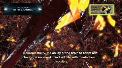 Psychiatric Disorders: Understanding Causes and Management! #finpetrol777