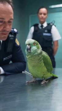 The Feathered Suspect”Ultra-realistic 4K cinematic short video, expressive talking 10-second viral funny video.🏷️ #BritishComedy #FunnyParrot #UKHumor #BritishPolice #CinematicShort #ViralVideo #TalkingParrot #BritishAccent